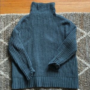 Aerie chenille Turtleneck